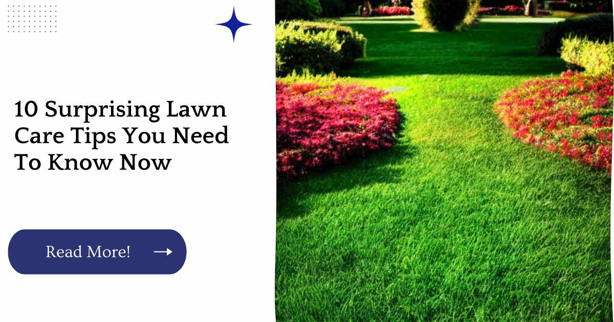 10 Surprising Lawn Care Tips You Need To Know Now