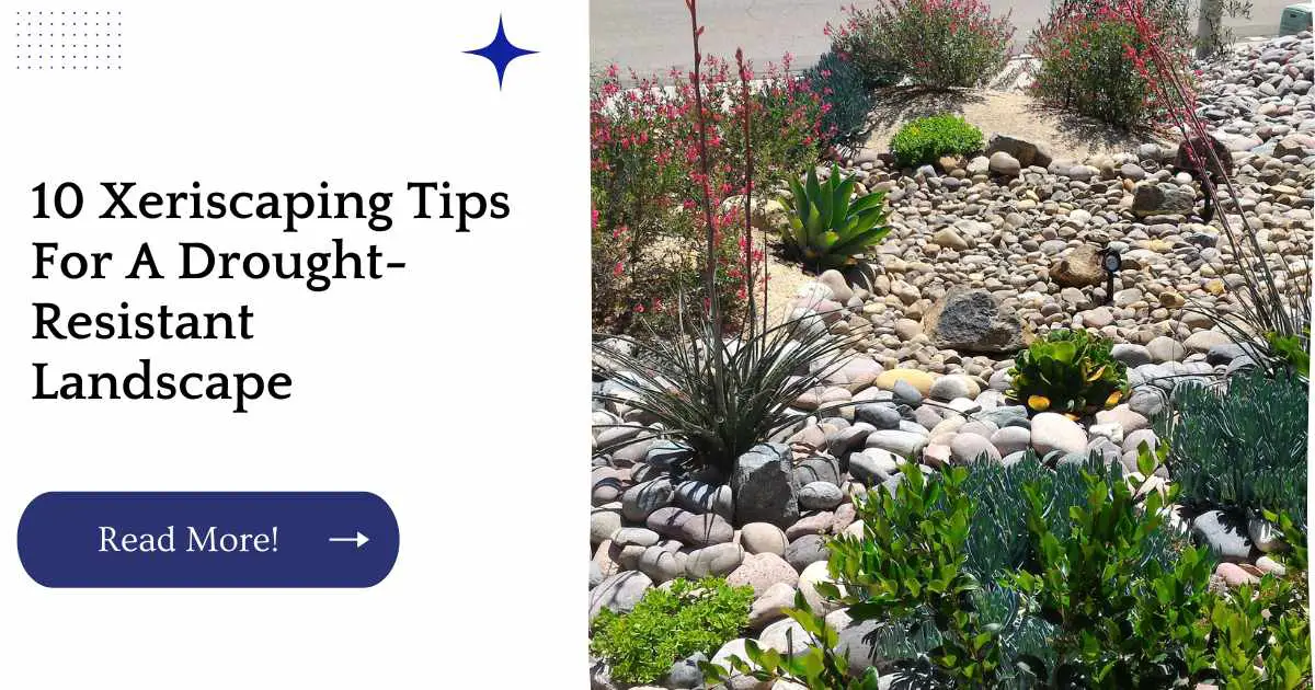 10 Xeriscaping Tips For A Drought-Resistant Landscape