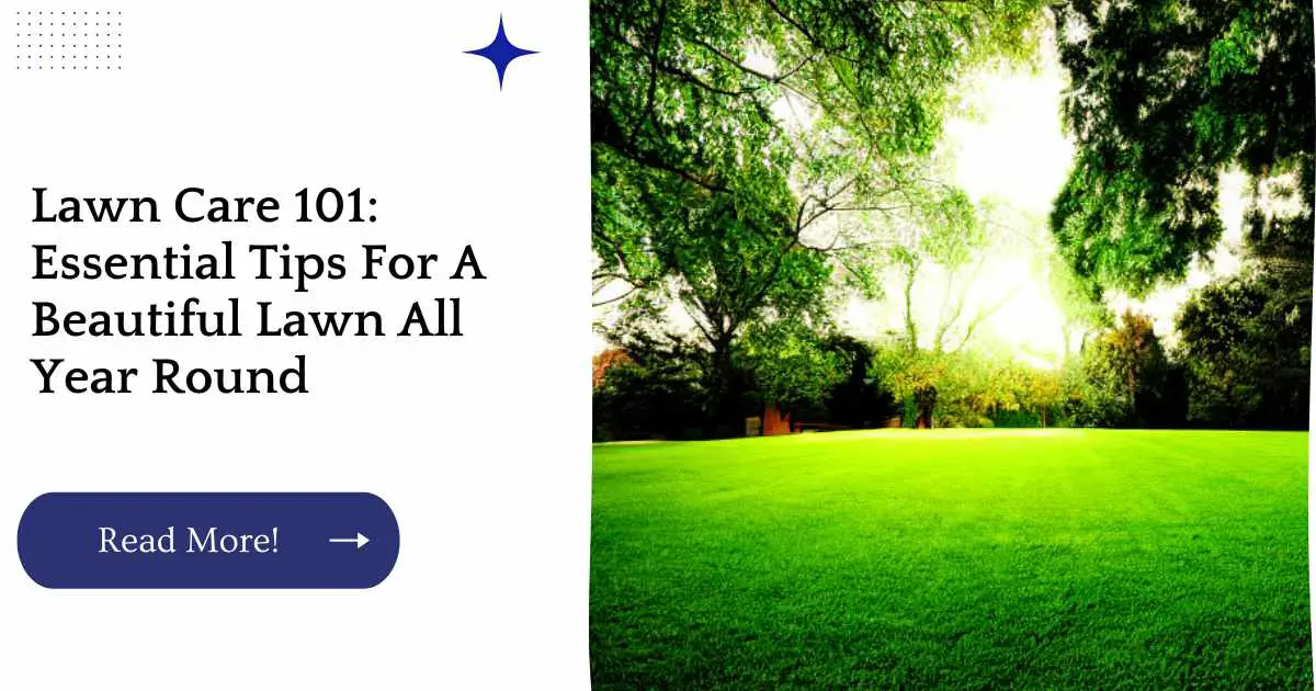 Lawn Care 101: Essential Tips For A Beautiful Lawn All Year Round