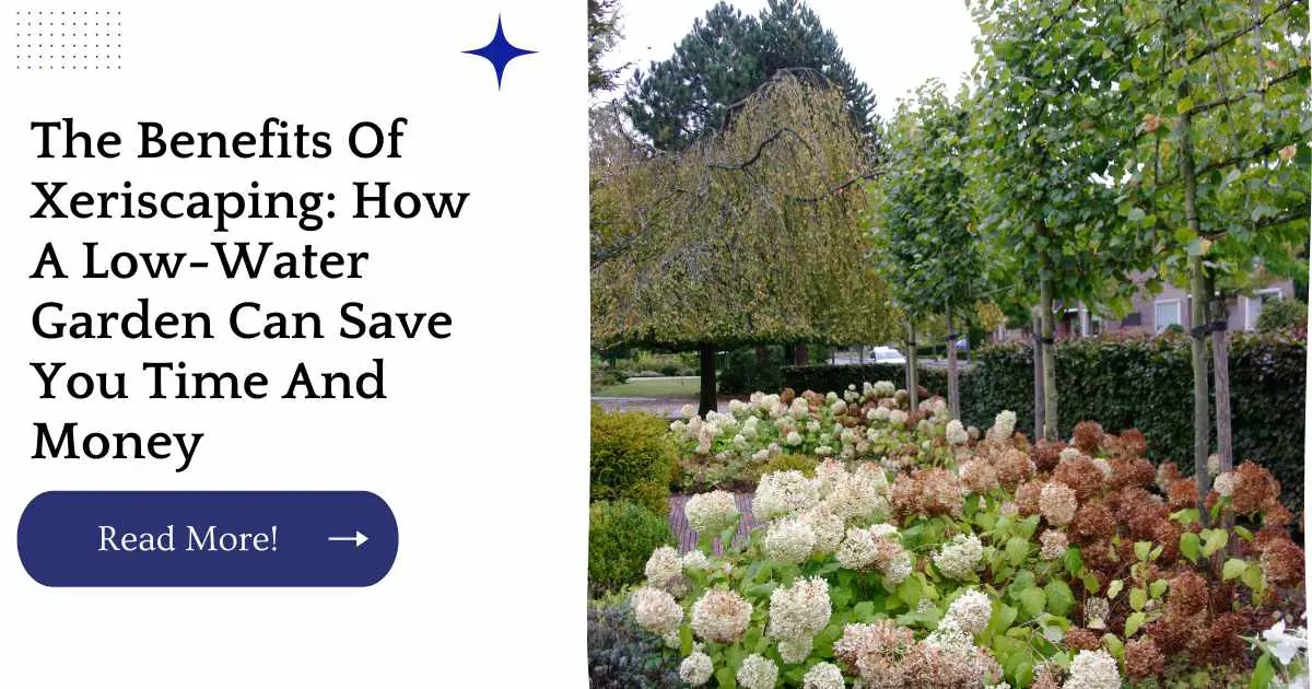 The Benefits Of Xeriscaping: How A Low-Water Garden Can Save You Time And Money