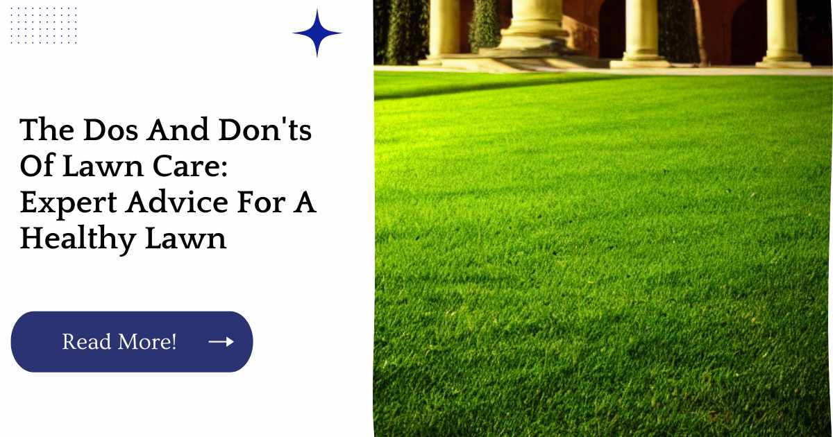 The Dos And Don'ts Of Lawn Care: Expert Advice For A Healthy Lawn