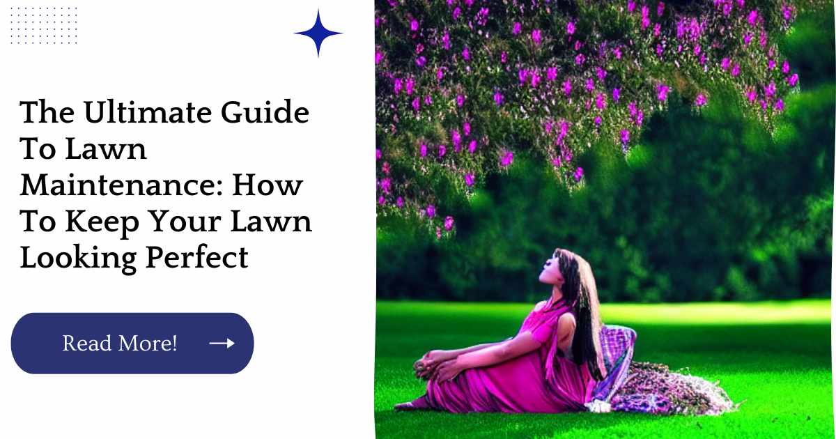 The Ultimate Guide To Lawn Maintenance: How To Keep Your Lawn Looking Perfect