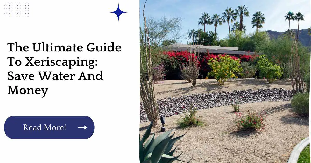 The Ultimate Guide To Xeriscaping Save Water And Money