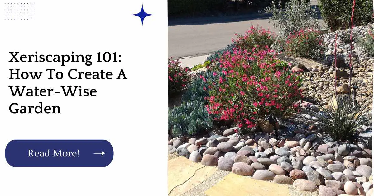 Xeriscaping 101: How To Create A Water-Wise Garden