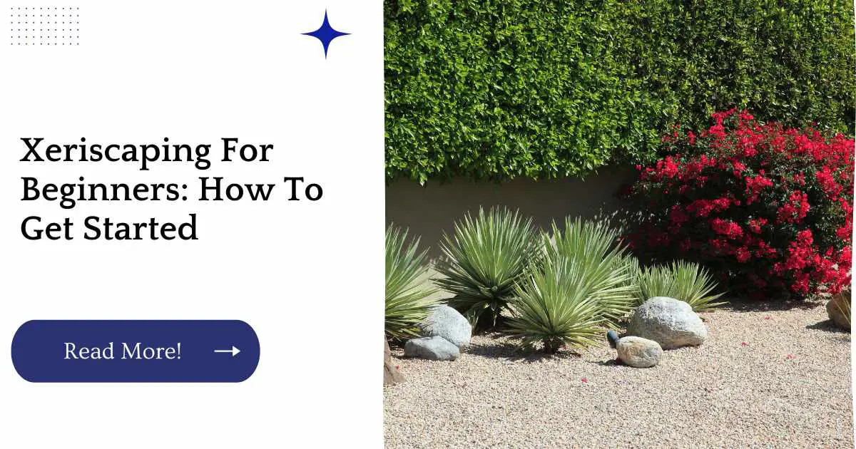 Xeriscaping For Beginners: How To Get Started