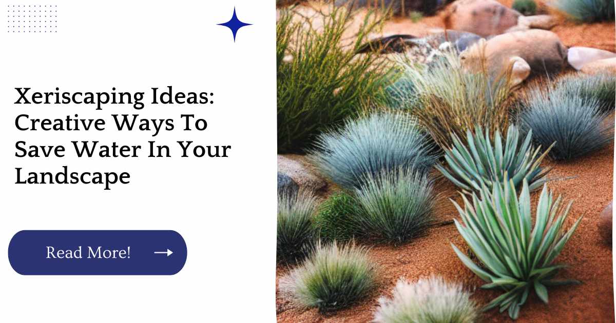 Xeriscaping Ideas: Creative Ways To Save Water In Your Landscape