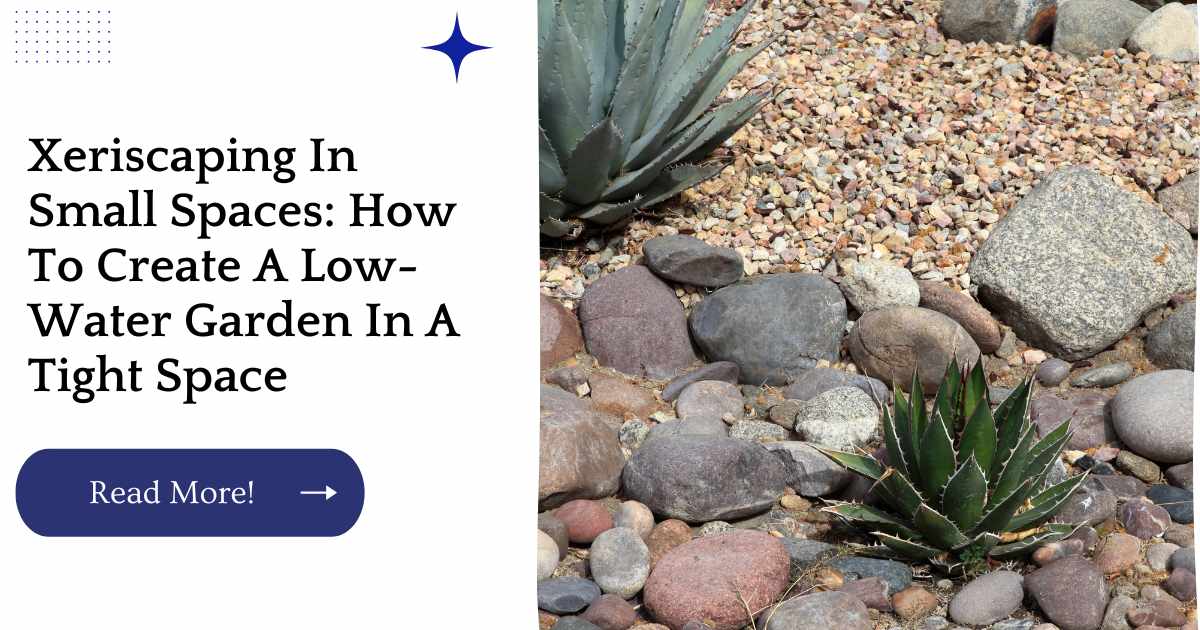 Xeriscaping In Small Spaces: How To Create A Low-Water Garden In A Tight Space