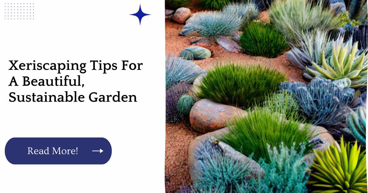 Xeriscaping Tips For A Beautiful, Sustainable Garden