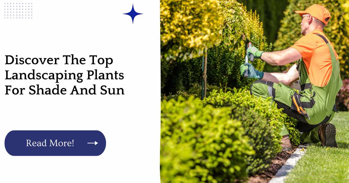 Discover The Top Landscaping Plants For Shade And Sun