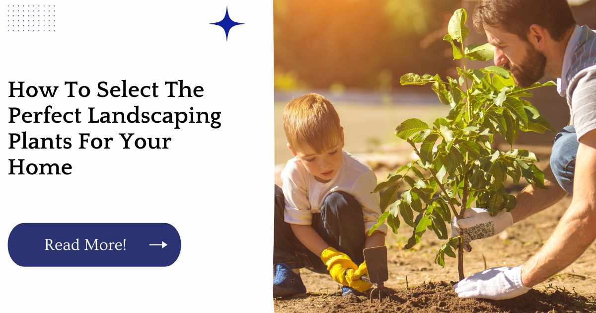 How To Select The Perfect Landscaping Plants For Your Home