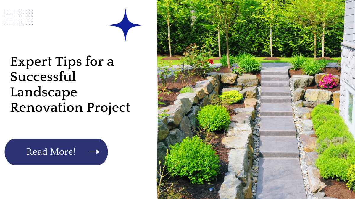 Expert Tips for a Successful Landscape Renovation Project