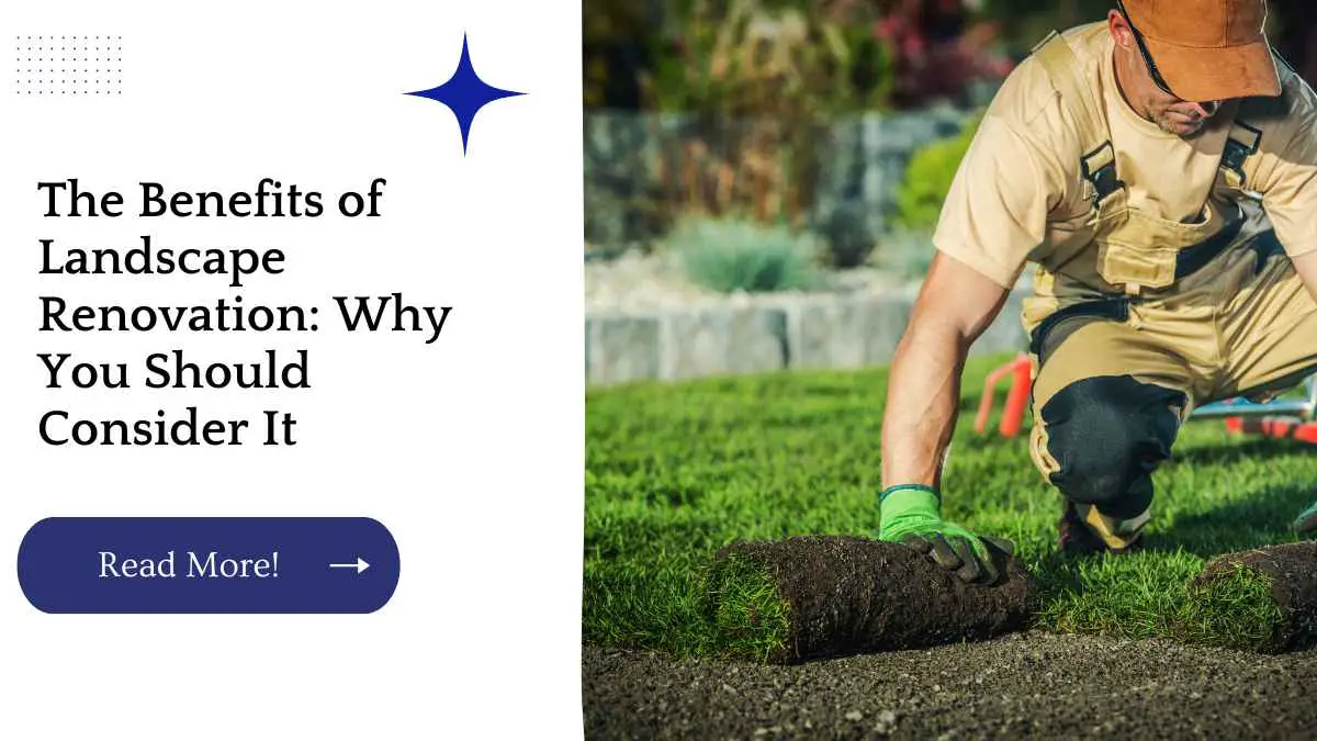 The Benefits of Landscape Renovation: Why You Should Consider It