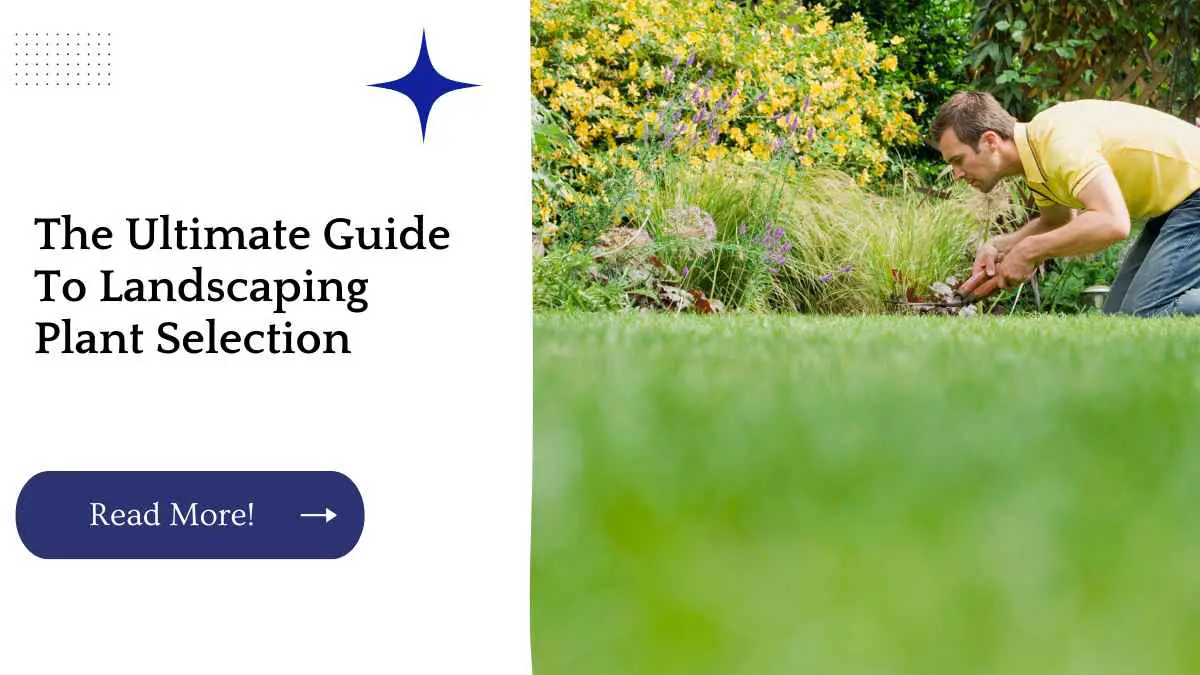 The Ultimate Guide To Landscaping Plant Selection