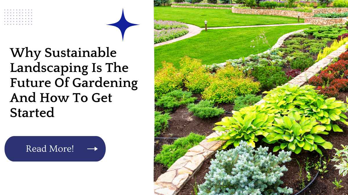 Why Sustainable Landscaping Is The Future Of Gardening And How To Get Started