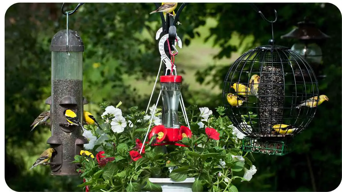 several birds are hanging from a bird feeder