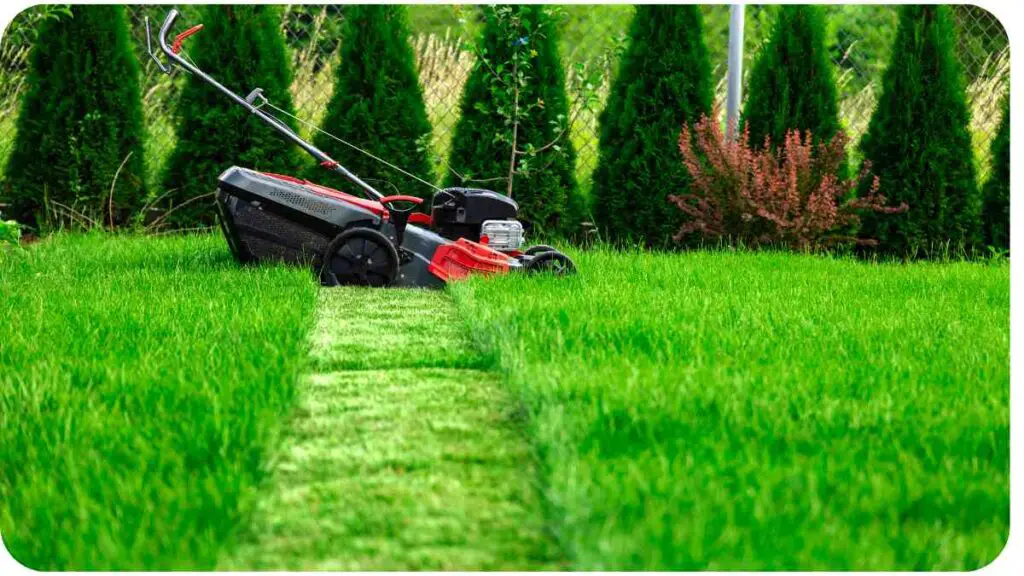 a lawn mower in the middle of a grassy field