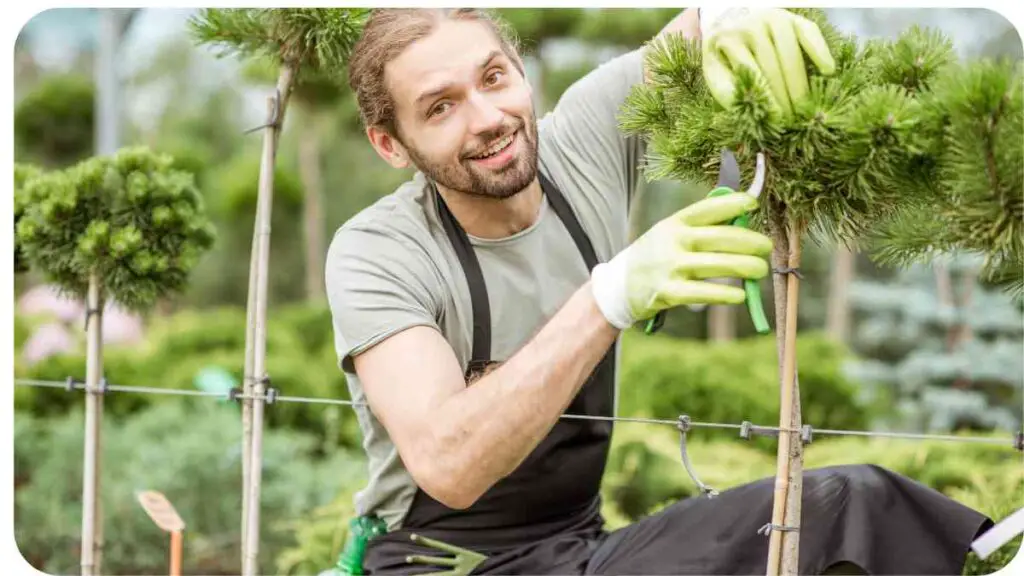 a person in an apron is trimming a tree