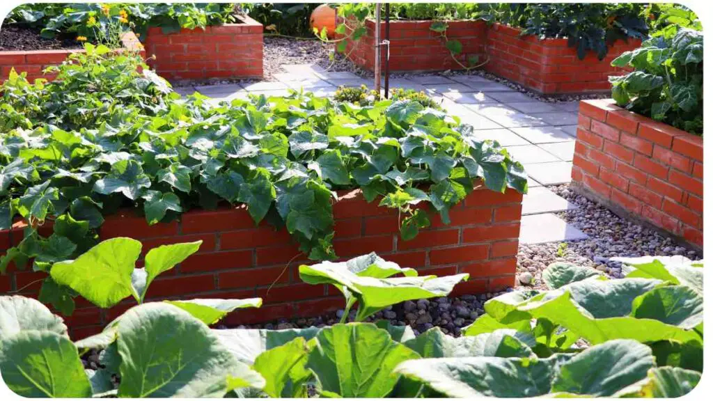 vegetable garden with brick raised beds