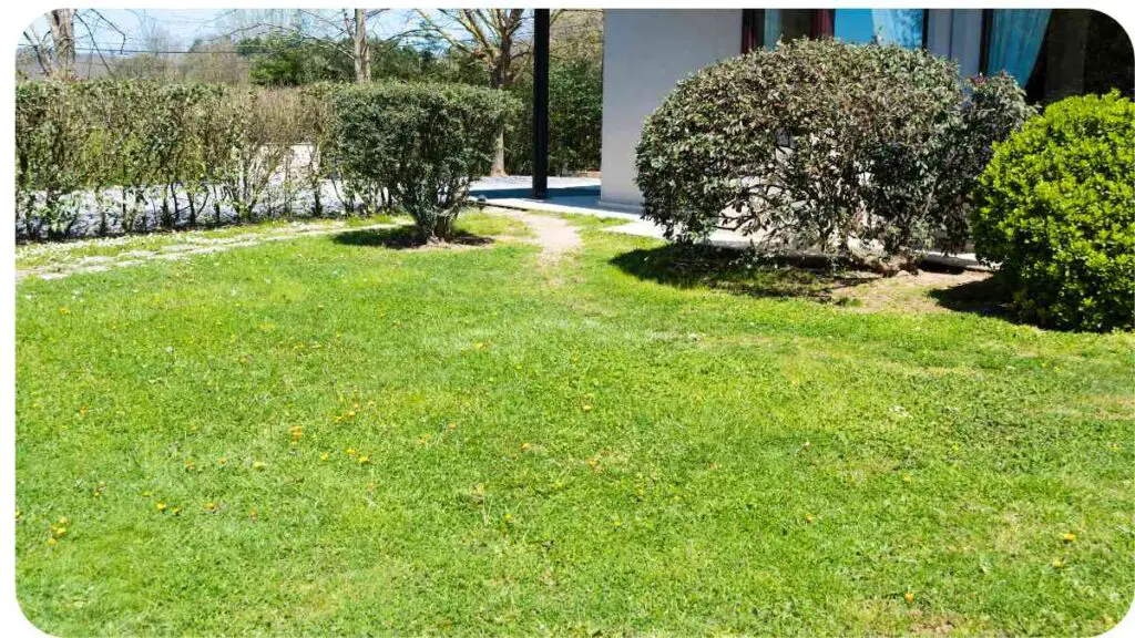 a green lawn in front of a house with bushes and shrubs