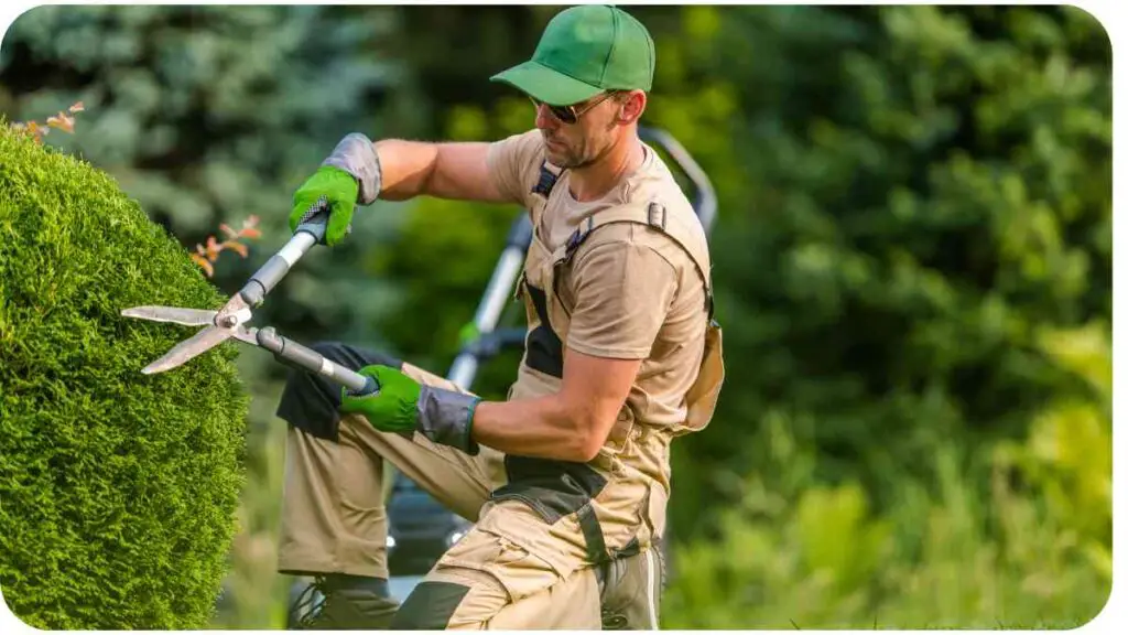 a person is trimming a hedge with a hedge trimmer