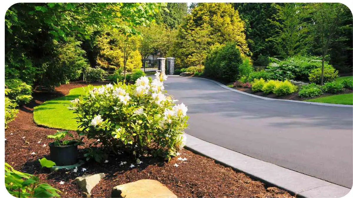 Gravel Driveway Maintenance: Troubleshooting Washouts