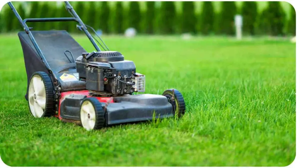 an image of a lawn mower in the grass