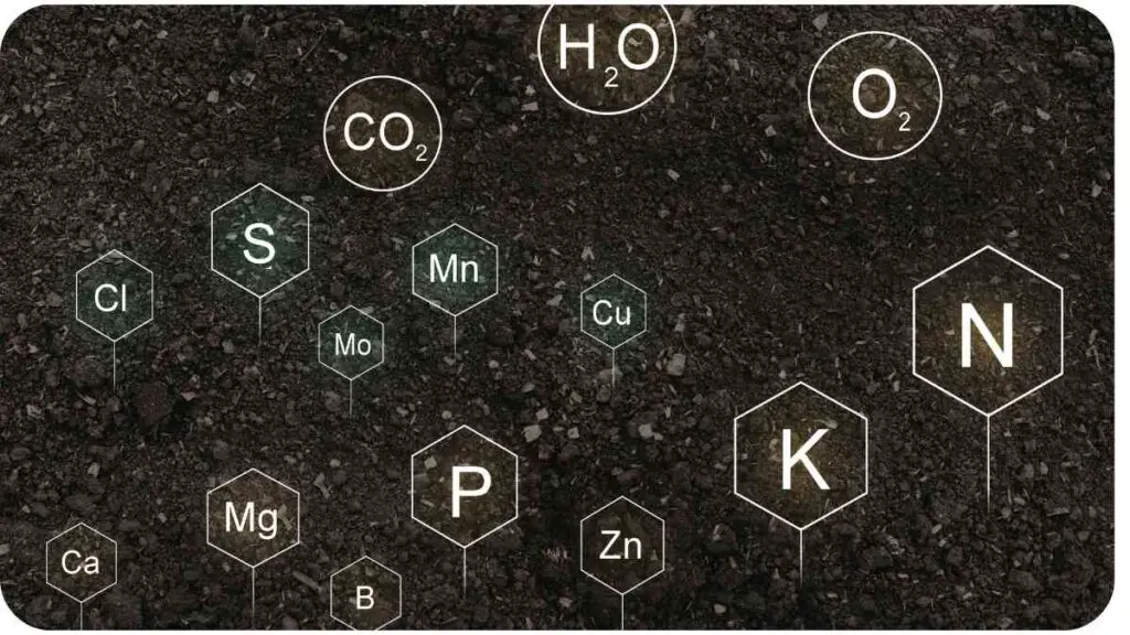 an image of various chemical symbols on a black background