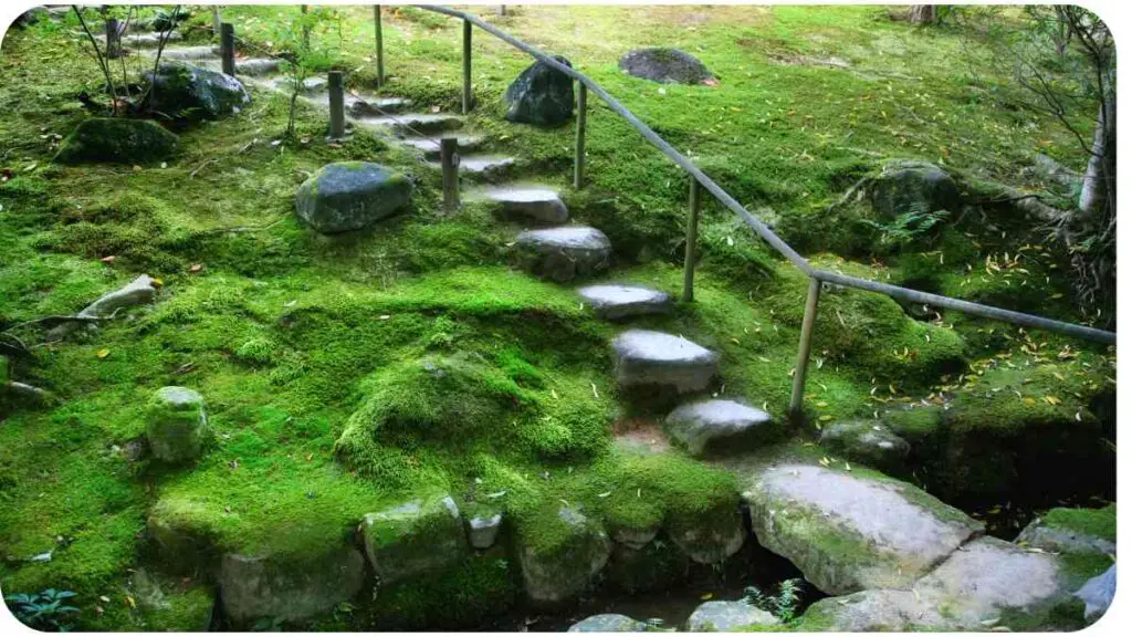 moss covered stairs leading down to a stream in a Japanese garden