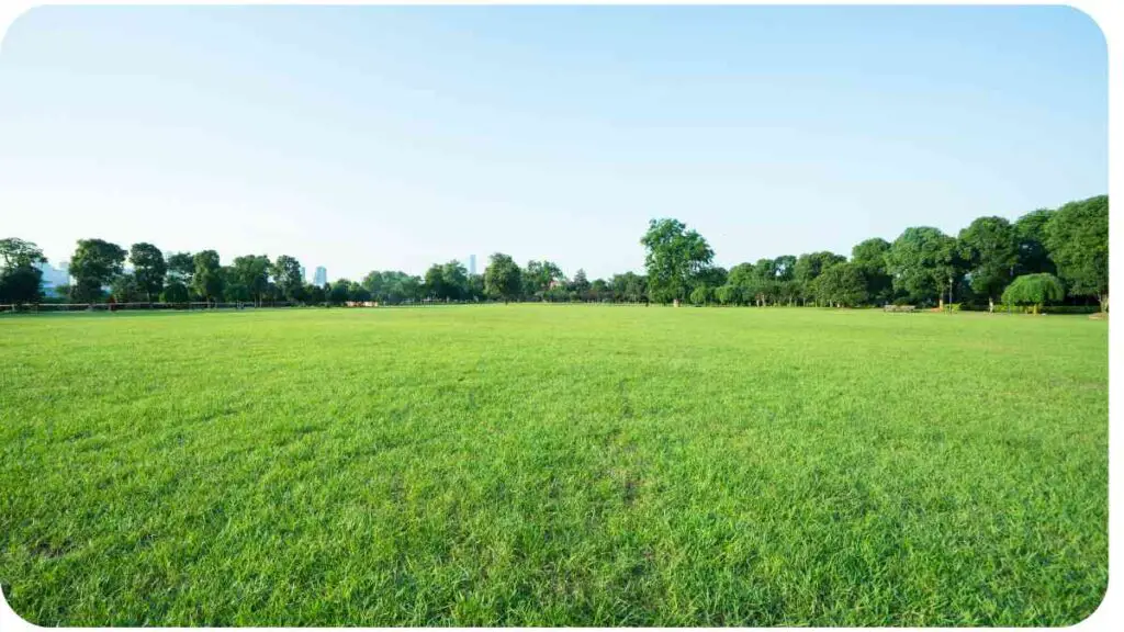 a grassy field with trees in the background