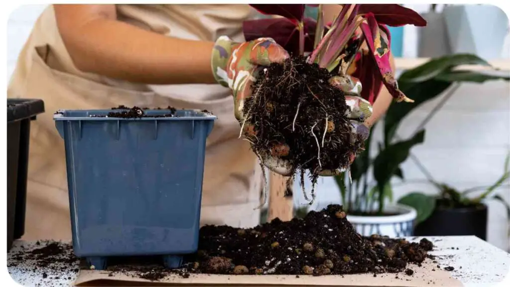 a person in an apron is holding a plant in their hand