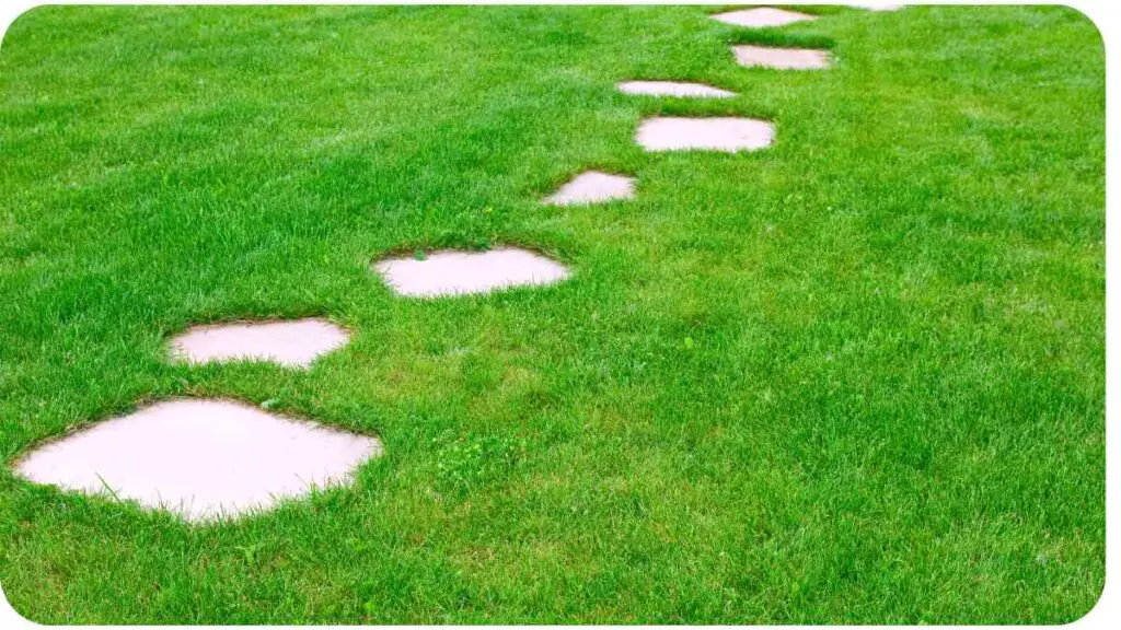 stepping stones in a grassy field