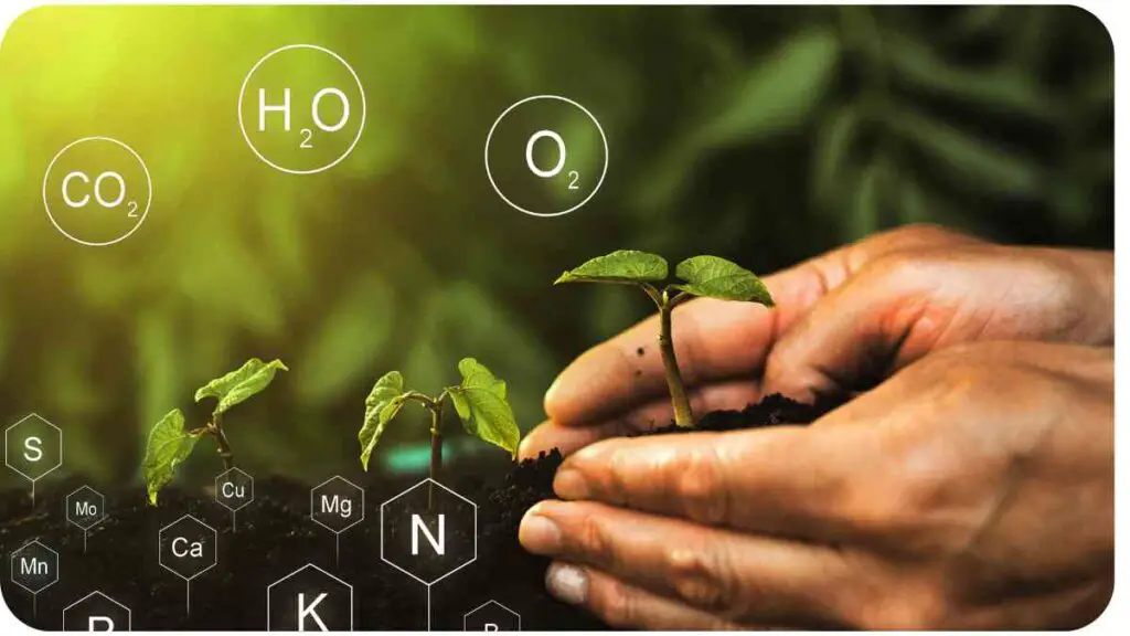 a hand is holding a plant in front of a green background with chemical symbols on it