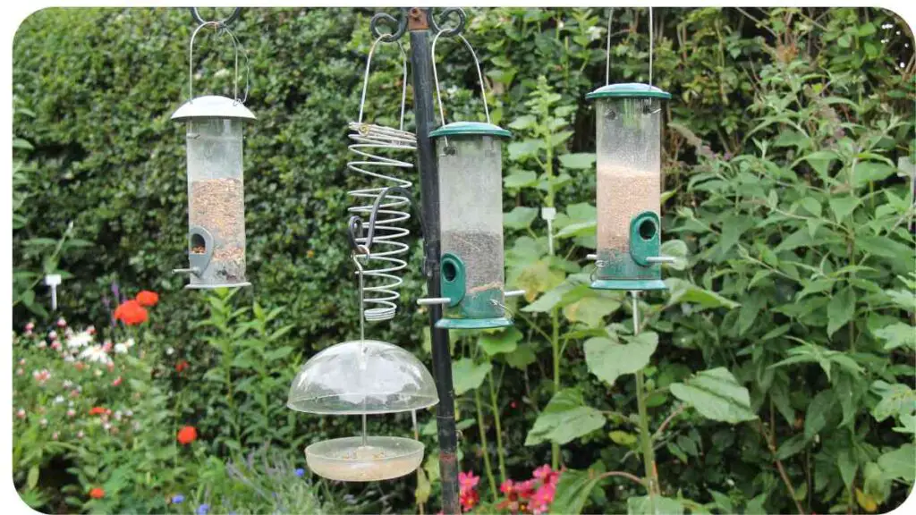 several bird feeders hanging from a pole in a garden