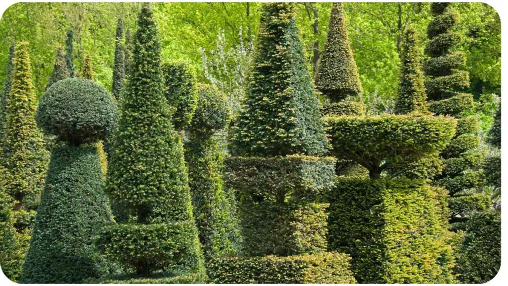 a group of topiary trees in a garden