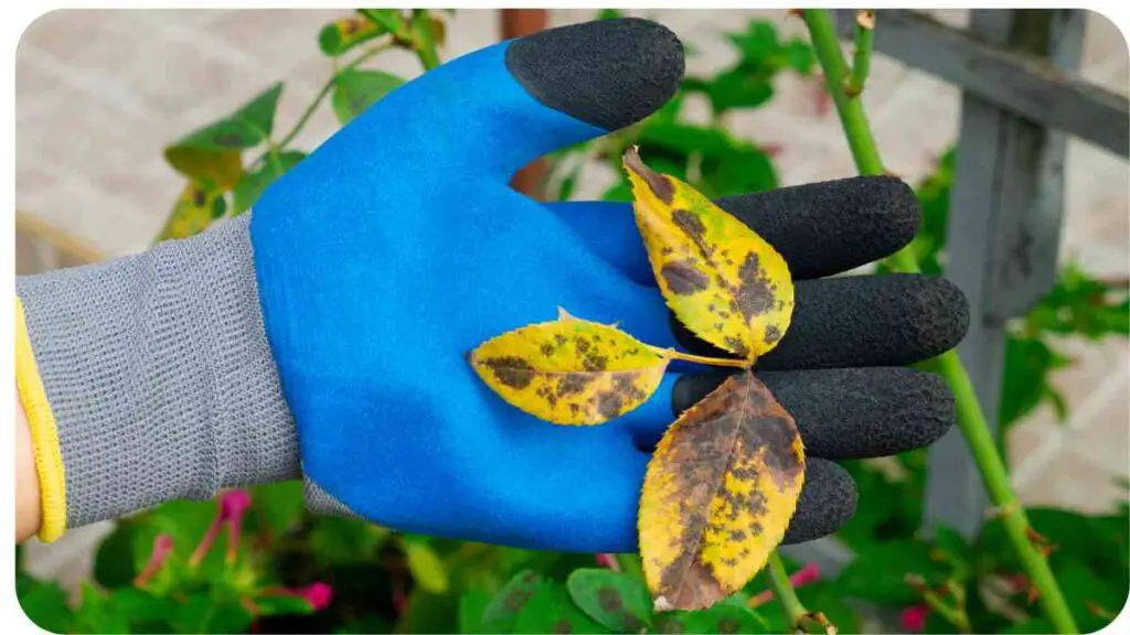 a person wearing blue gloves holding a yellow leaf